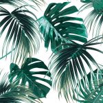 Copacabana-CB103482